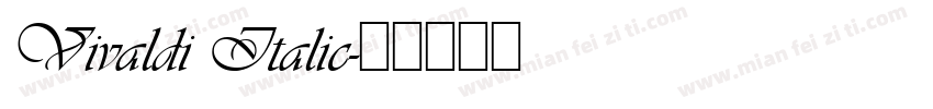 Vivaldi Italic字体转换